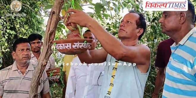 Nayak Vikas Sansthan tied water pot for birds in sawai madhopur