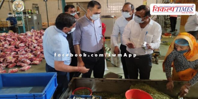 Rajasthan Government is strict on adulterated spices - more than 12 thousand spices News