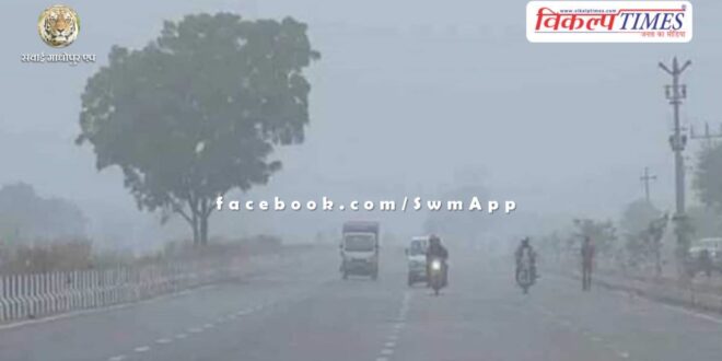 There will be rain in these districts of Rajasthan, Meteorological Department issued yellow alert