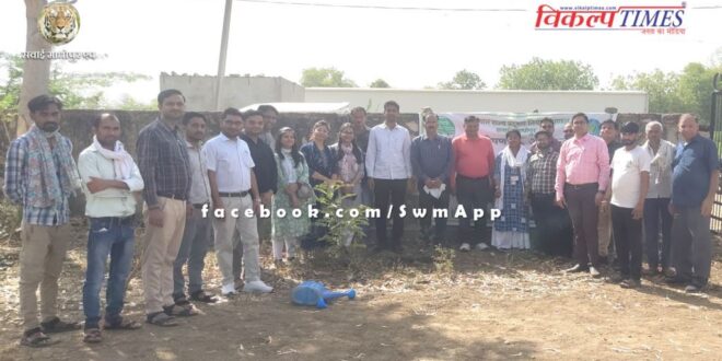 World Environment Day - Awareness Week is being organized in sawai madhopur