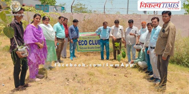 World Environment Day celebrated in Martyr Captain Ripudaman Singh Government College Sawai Madhopur