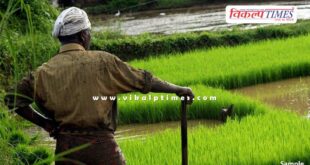 Apply for Farmer Award by 31st July Sawai Madhopur news