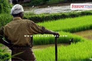 Apply for Farmer Award by 31st July Sawai Madhopur news