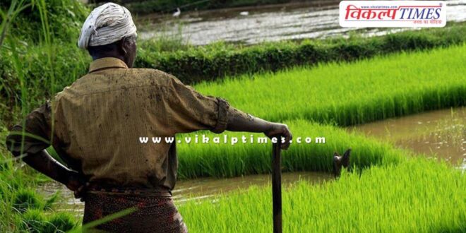 Apply for Farmer Award by 31st July Sawai Madhopur news