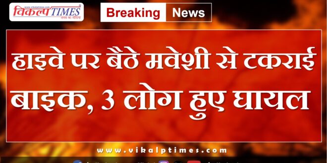Bike collides with cattle sitting on the highway, 3 people injured in sangod kota