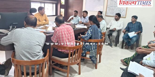 CEO Sawai Madhopur reviews progress of tree plantation