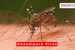 Chandipura virus patient found in Dungarpur district