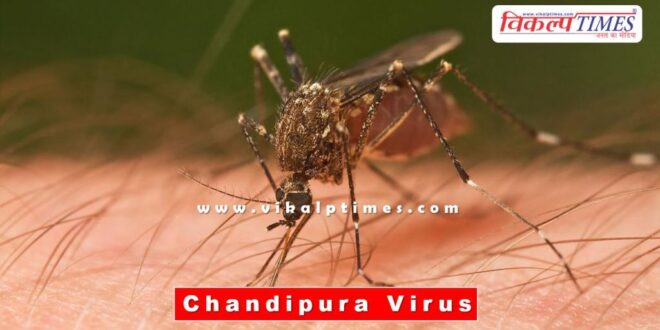 Chandipura virus patient found in Dungarpur district