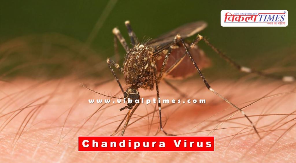 Chandipura virus patient found in Dungarpur district