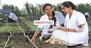 Girl students studying agricultural education will get incentive amount in rajasthan