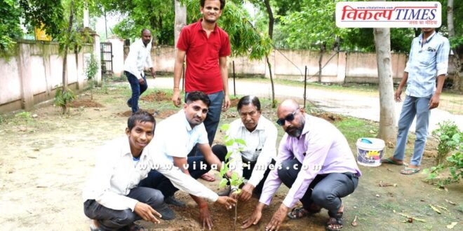 Kirodi Lal Meena birthday celebrated by planting trees in sawai madhopur