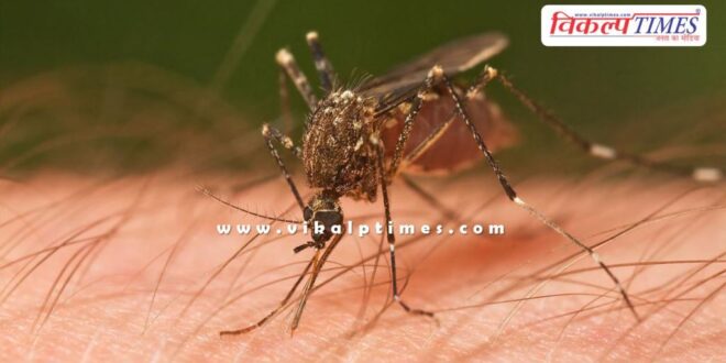 Medical department issued advisory regarding Chandipura virus in Rajasthan