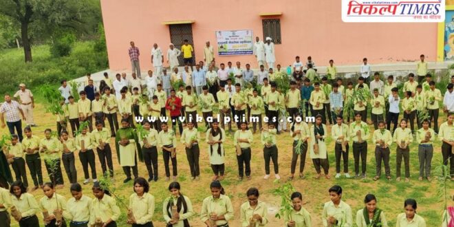 More than 9 lakh 92 thousand trees were planted in Jaipur division.