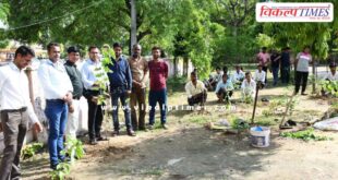 Officers employees planted saplings under the leadership of Sawai Madhopur Collector Khushal Yadav.