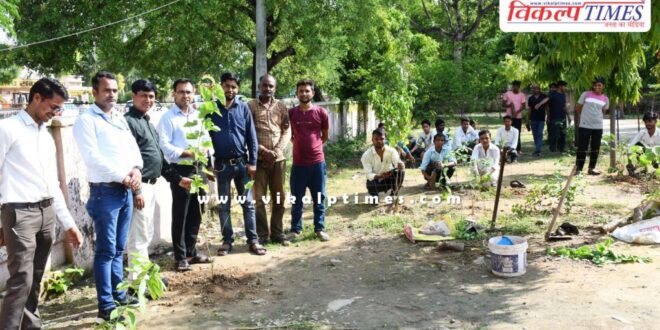 Officers employees planted saplings under the leadership of Sawai Madhopur Collector Khushal Yadav.