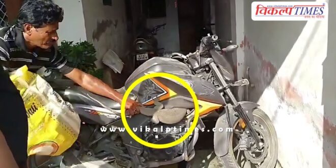 One and a half feet monitor lizard (Goyri) entered the bike in kota