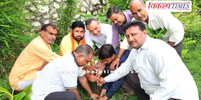 Planted trees and gave the message of environmental protection in sawai madhopur