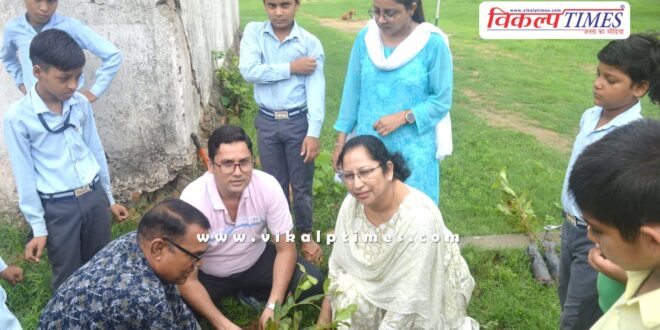 Pollution Control Board planted trees to send a message of environmental protection in sawai madhopur