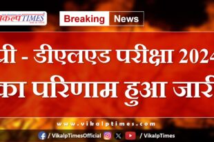 Result of Pre-De.El.Ed Exam 2024 released kota rajasthan