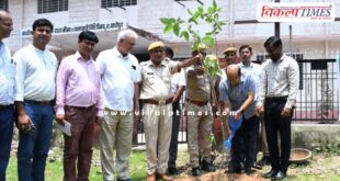 Secretary in-charge planted a sapling in the Collectorate premises on 'A tree in the name of mother'