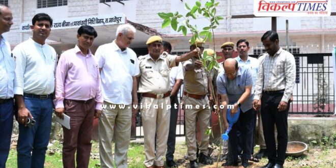 Secretary in-charge planted a sapling in the Collectorate premises on 'A tree in the name of mother'