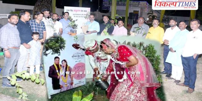 Started married life by planting trees in lalsot dausa