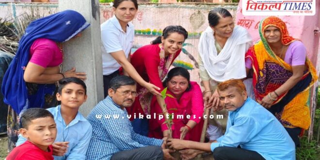 Tree plantation done in Government Higher Primary School Phoosoda Sawai Madhopur