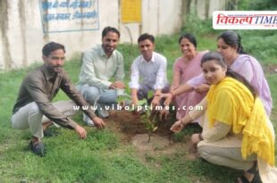 Tree plantation done in Government Higher Secondary School Sherpur Sawai Madhopur
