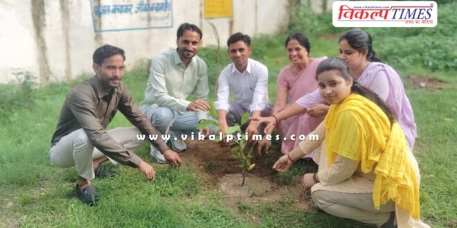 Tree plantation done in Government Higher Secondary School Sherpur Sawai Madhopur