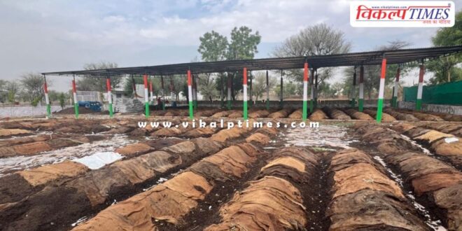 5 thousand vermi compost units will be established in rajasthan