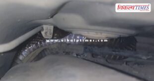 6 feet long cobra entered the car in kota