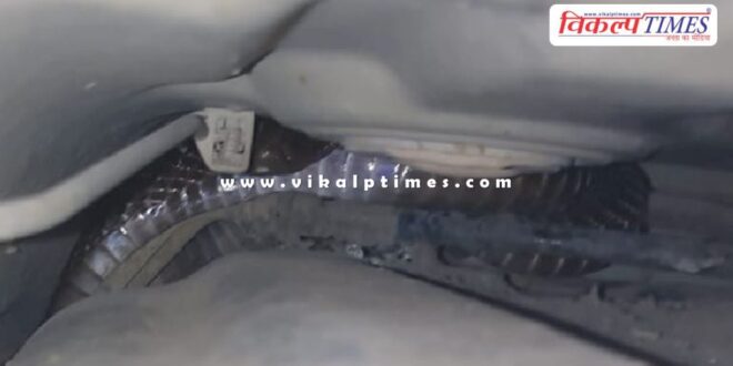 6 feet long cobra entered the car in kota
