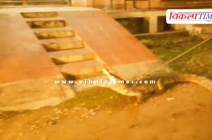 8 feet long crocodile entered the colony in kota
