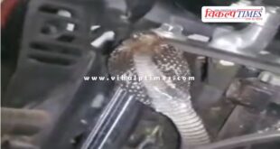 Cobra snake sitting on the bike in kota