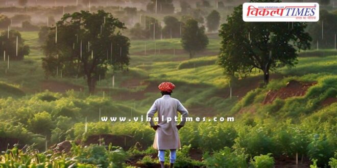 Drizzling rain continues in jhalawar