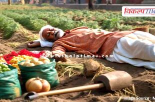 Farmer agricultural work kota news