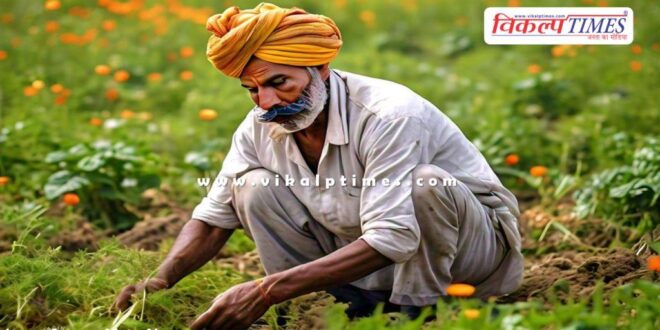 Farmer electric current jhalawar news 24 aug 24