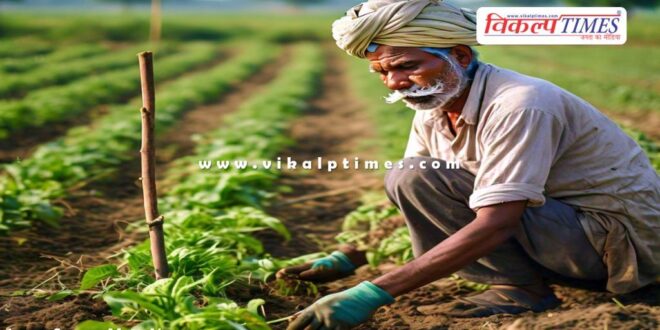 Farmer pesticide effect sangod kota 20 aug 2024