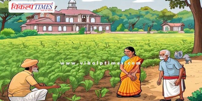 Farmers got relief due to opening of weather in Etawah kota
