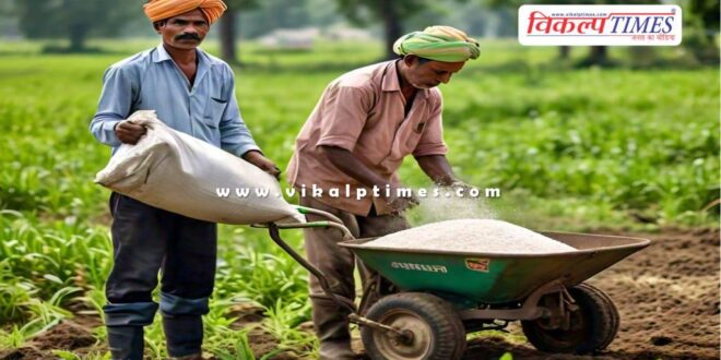 Farmers should use more urea and nano DAP in rajasthan