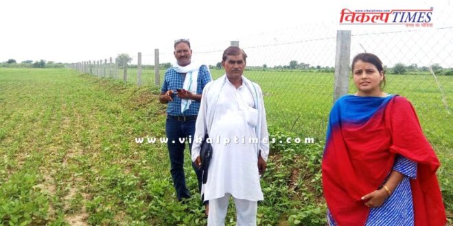 Happy and prosperous farmers are the identity of Rajasthan Sawai Madhopur News
