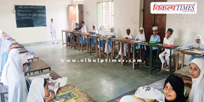Painting and speech competition organized in sawai madhopur