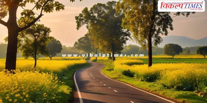 Roads worth Rs 150 crore approved in rajasthan