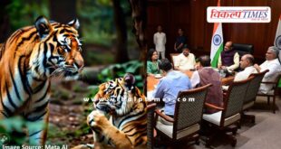 Tiger and Tigress will be released in Mukundara Hills Tiger Reserve kota