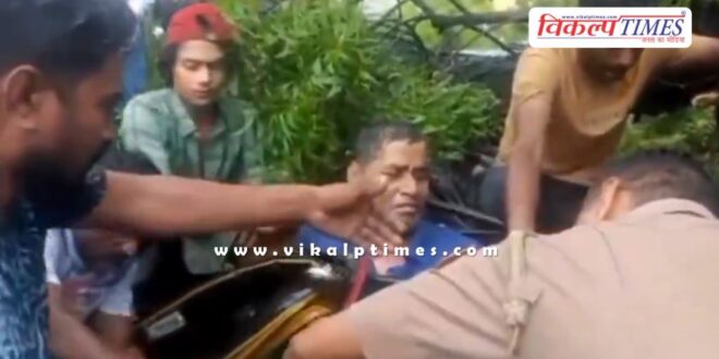 Tree fell on auto driver in kota