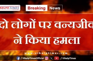 Wildlife animal people khandar sawai madhopur news 30 aug 2024