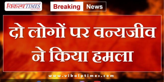 Wildlife animal people khandar sawai madhopur news 30 aug 2024