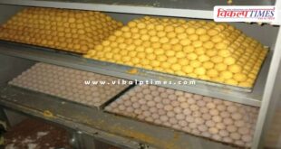 800 kg moldy laddus destroyed in sawai madhopur