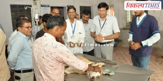 Anti Rabies Vaccination Camp organized on World Rabies Day 2024 in jaipur