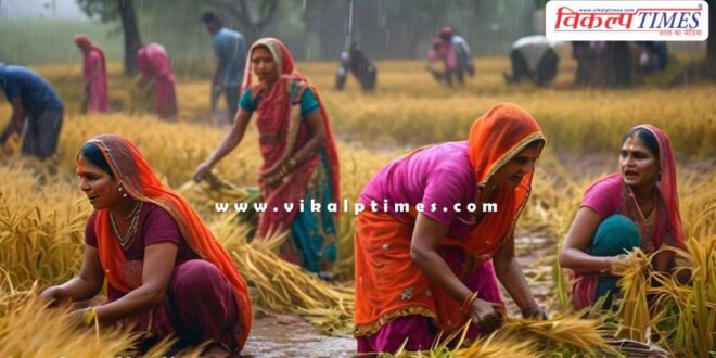 Farmers will be able to get crop insurance claims on time in rajasthan